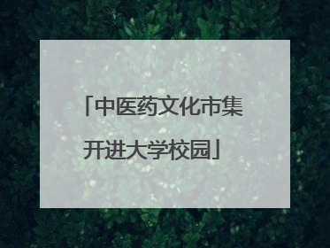 中医药文化市集开进大学校园